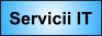 Servicii IT