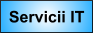 Servicii IT
